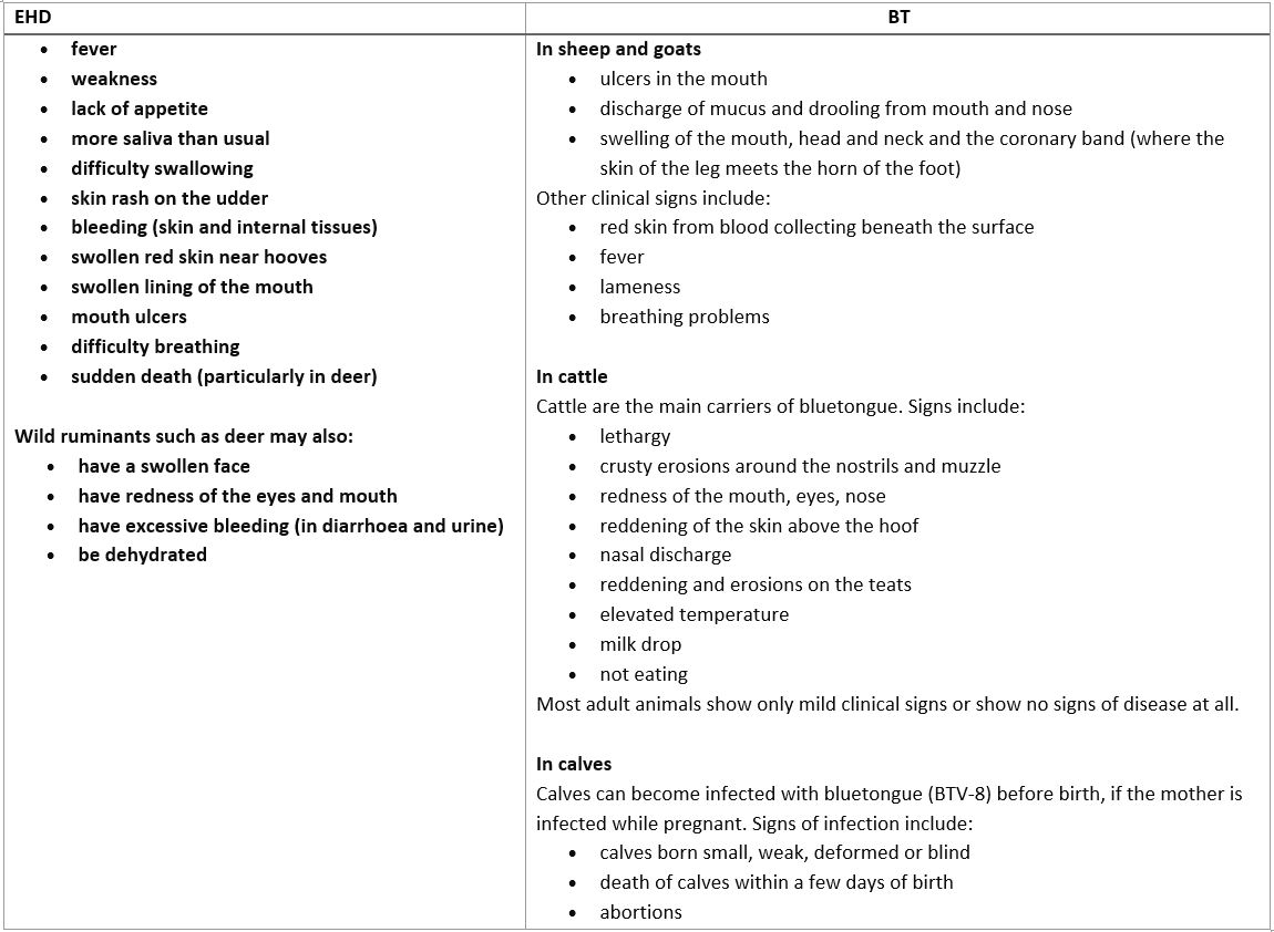 BTongue table